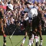 Polo, Commercial Wedding Photographers: Photoscience.co.uk